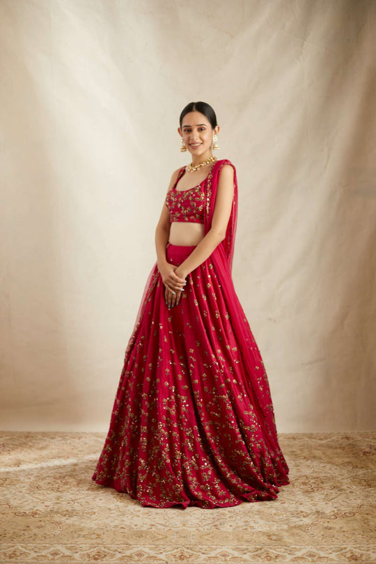 Caramine Pink Embllished Lehenga Set