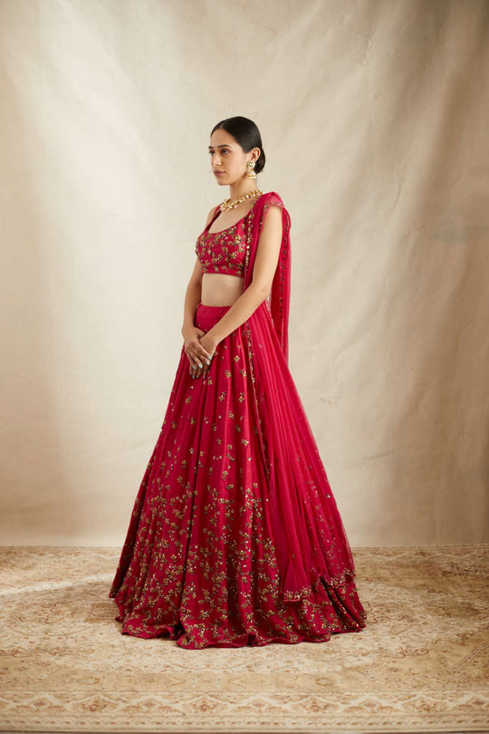 Caramine Pink Embllished Lehenga Set