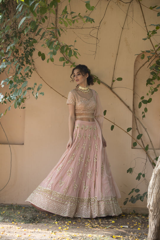 Blush Pink Bootie Lehenga With Gold Work