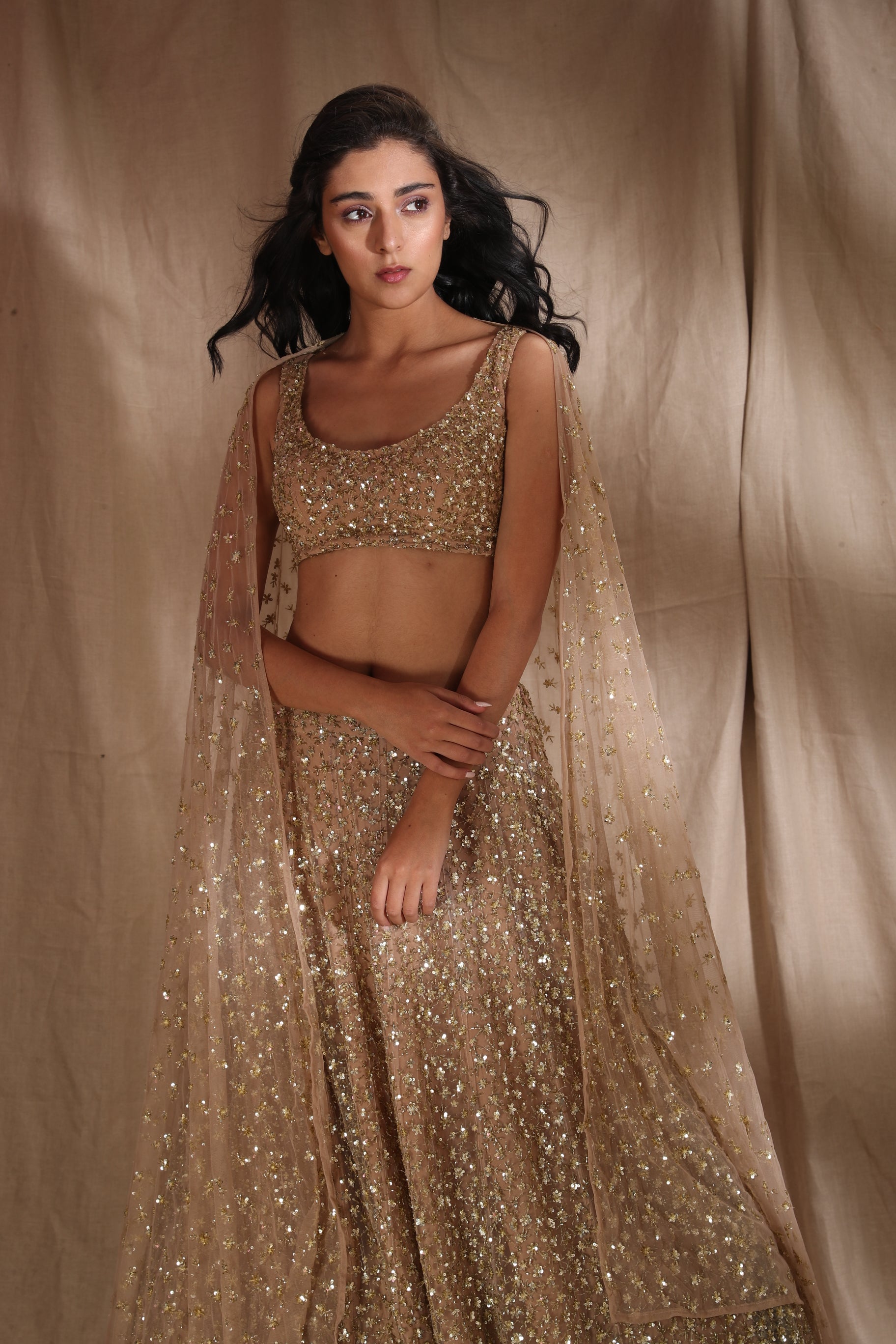 Astha shop narang lehenga