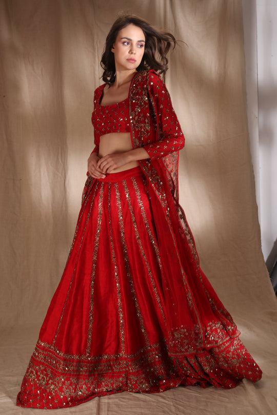 Red Zari Raw Silk Lehenga