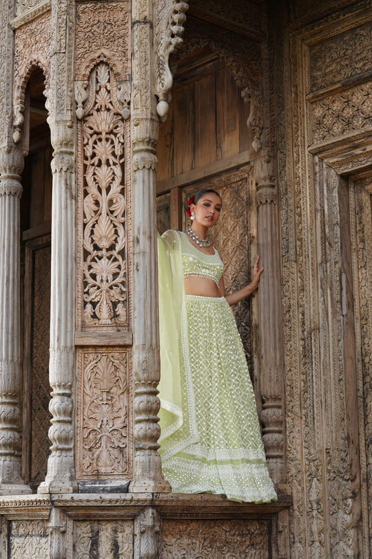 Mint Organza With White Moti Work Lehenga Set