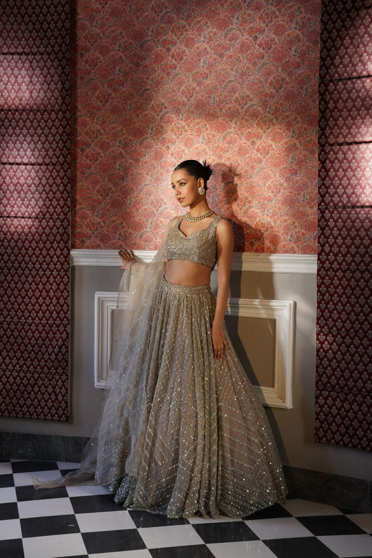 Grey Heavy Jaal Work Lehenga Set